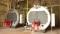 Generatore di vapore industriale Vitomax HS M75B in Eurovo a Occhiobello a Rovigo 