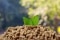 Wood pellets on a green background. Biofuels.; Shutterstock ID 552284368; purchase_order: 173; job: ; client: ; other: 